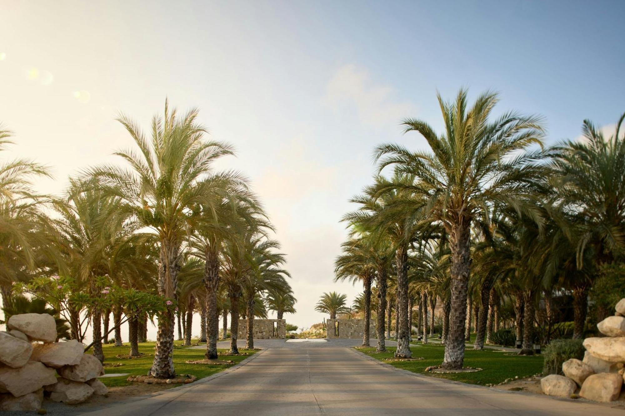 Zadun, A Ritz-Carlton Reserve San José del Cabo Exteriör bild
